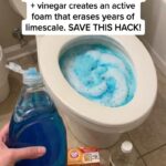 Cleaning Toilet Bowl with Baking Soda Vinegar and Dish Soap