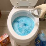 No Scrub Toilet Cleaning Method Step by Step